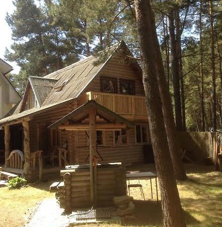 Edmundas Palanga Luaran gambar