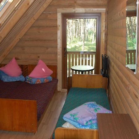 Edmundas Palanga Luaran gambar