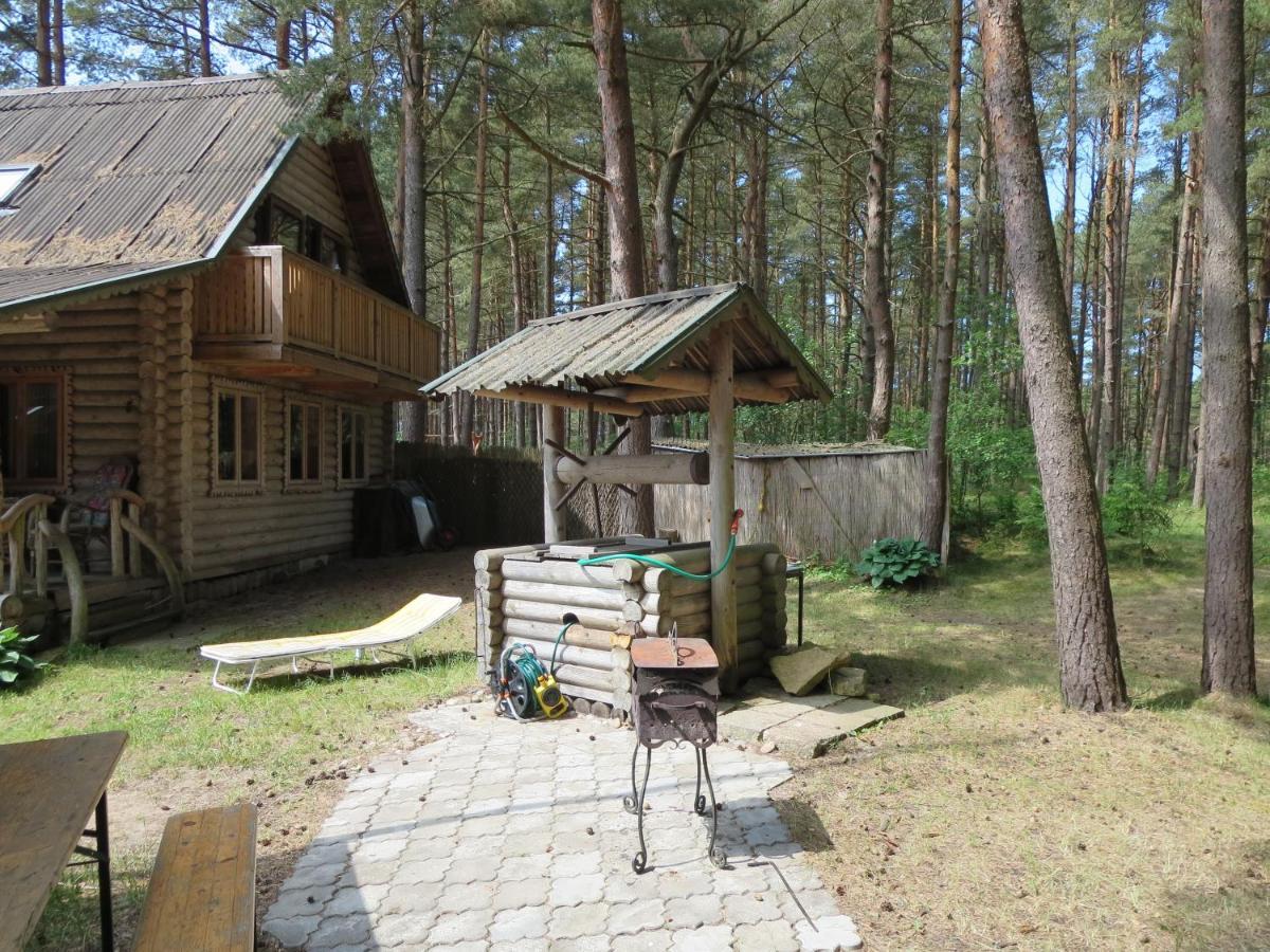 Edmundas Palanga Luaran gambar