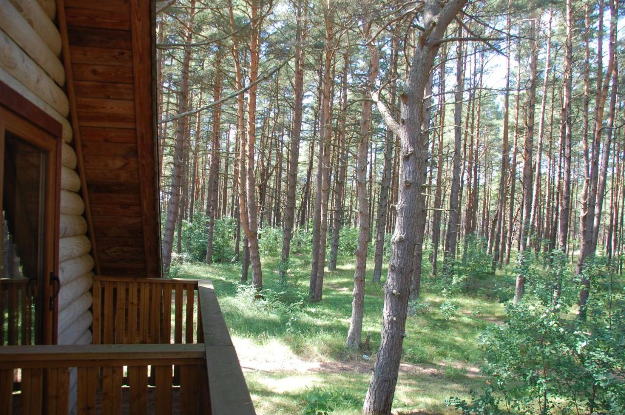 Edmundas Palanga Luaran gambar