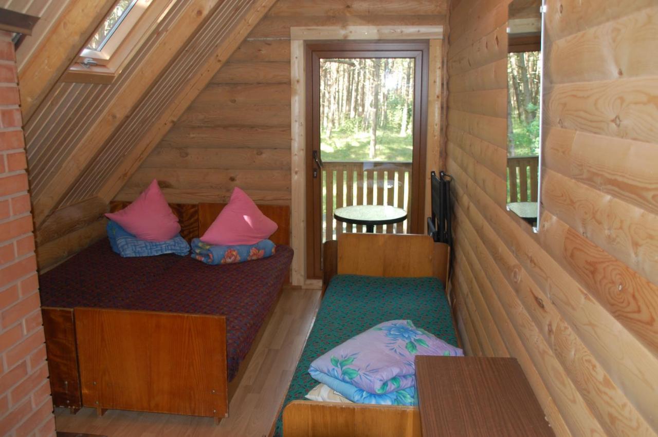 Edmundas Palanga Luaran gambar