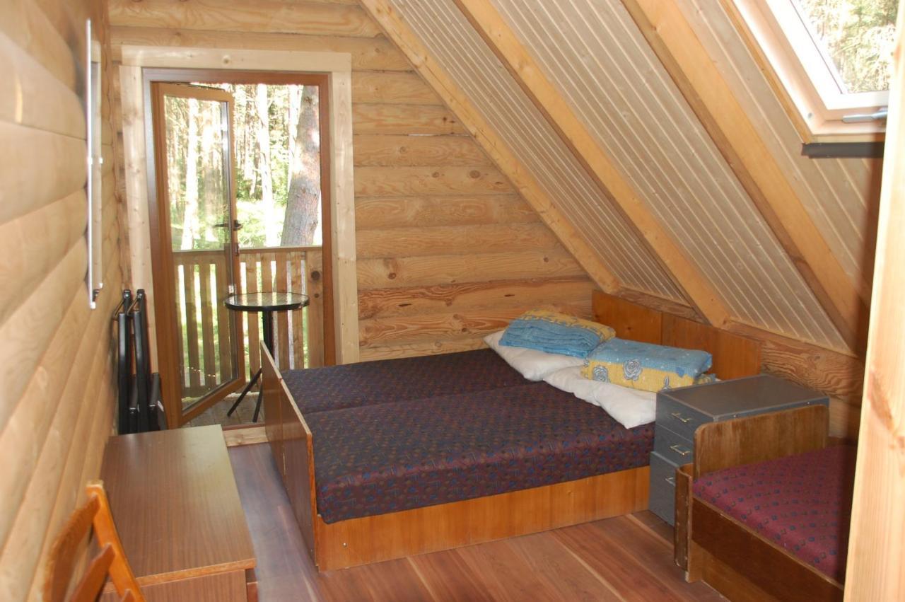 Edmundas Palanga Luaran gambar