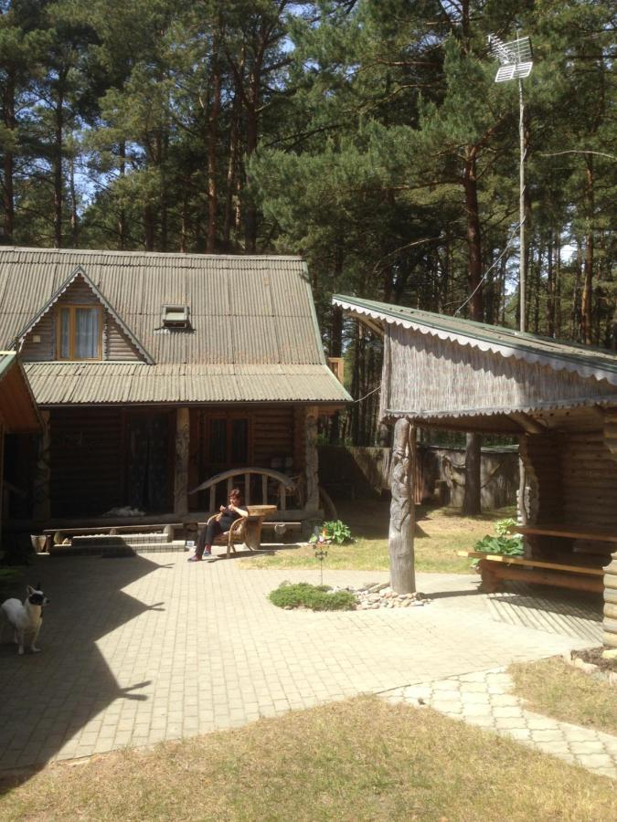 Edmundas Palanga Luaran gambar